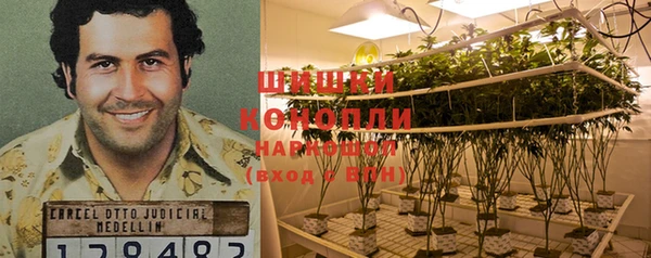 амф Белоозёрский