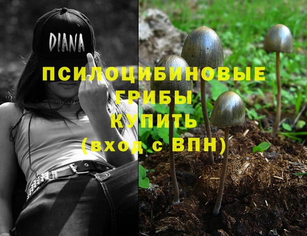 MDMA Беломорск