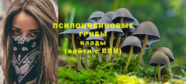 амф Белоозёрский