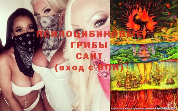 COCAINE Белокуриха