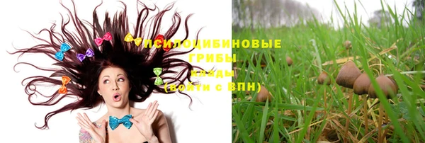 амф Белоозёрский