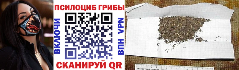 что такое Орск Псилоцибиновые грибы ЛСД